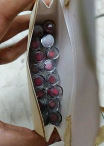 Just Herbs Lipstick Kit