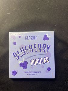 Blueberry Eyeshadow Pallet