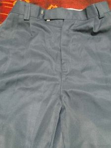Grey Formal pant