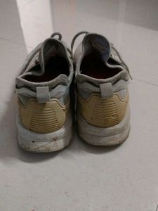 Red Tape Grey Sports Shoes