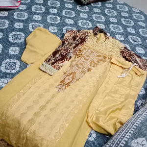 biscut colour suit with tiger print sleaves one day offer