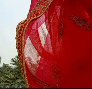 Lehenga Choli With Dupatta