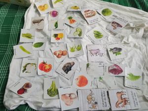 Flash Cards