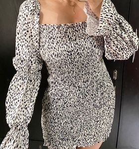 Animal Print Mini Dress