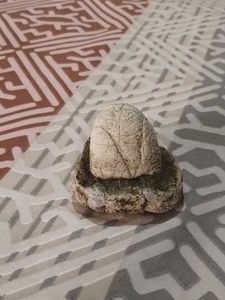 Unique Stone Sculpture