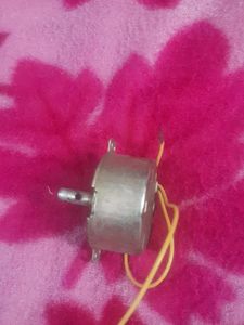 Gear Motor