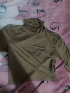 Brown Cropped Turtle Neck Top