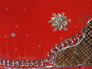 Rust Embellished Saree