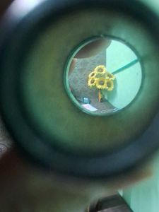 Door Viewer Peephole