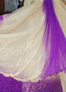 Long Ethnic Function Gown Barbie Dress