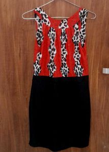 Net Bodycon Dress