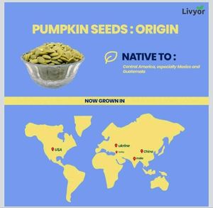Livyor Raw Pumpkin Seeds 400G (B)