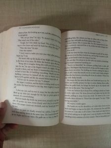 Ugly Love By Colleen Hoover