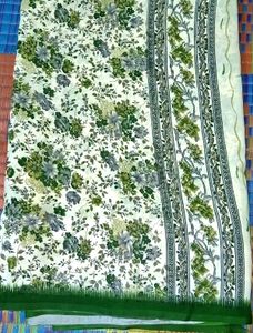 beautiful woman saree ✨✨💚🤍
