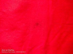 Kurti Cloth 2 Meter
