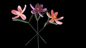 Handwoven Flowers 🌸
