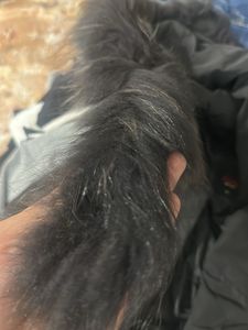 Fur Hooded Black Puffer Jacket