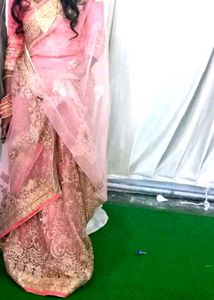 Designer Saree