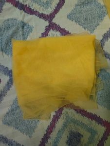 Gorgeous Yellow Ethnic Gown, With Bottoms &amp; Dupatt