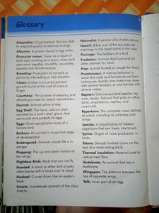 Children Junior Encyclopedia