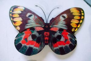 Double Layer Butterfly 🦋 decor Now Free Delivery