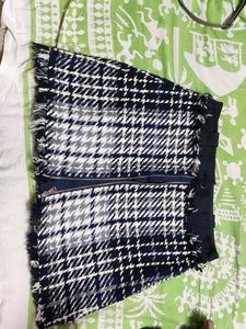 Zara Front Zip Skirt