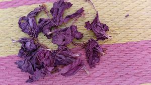 Hibiscus Dried Flower