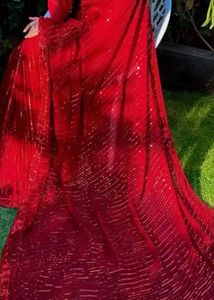 Elegant Red Sequin Saree