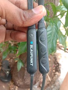 🎧 Blaupunkt Neckband (Micro USB) | Refurbished