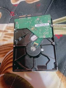 100 Gb