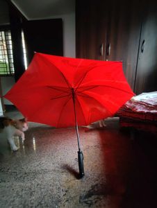 Red Umbrella (Box8 )