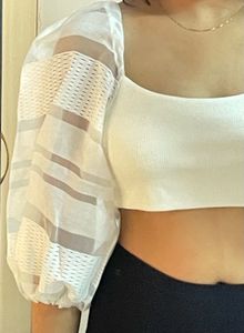 Chic Sheer Sleeve Top