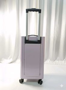 Stylish carry on Trolley bag