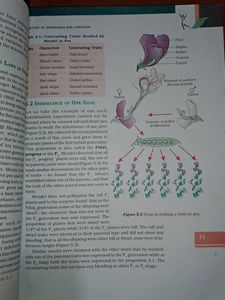 NCERT BIOLOGY TEXTBOOK FOR 12th CLASS