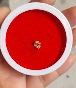 Beautiful New Ring Type Nosering