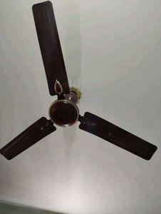 CEILING FAN FOR YOUR HOME