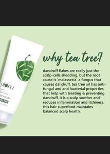 Plum Tea Tree Build-up Scalp Scrub