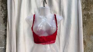 I. Red Lace waist corset