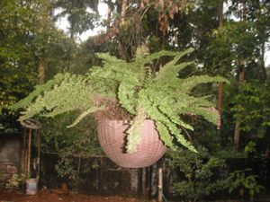 Fujifilm FinePix Z70 Digital Camera