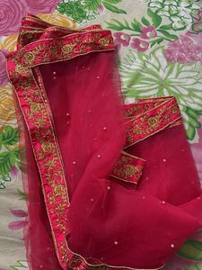 Elegant Lehenga Choli Set