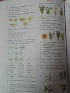 NCERT FINGERTIPS FOR NEET PREPARATION