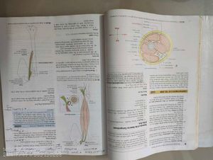 Anatomy Textbook - Upper Limb &amp; Thorax