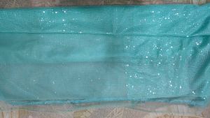 Aqua Sequin Saree