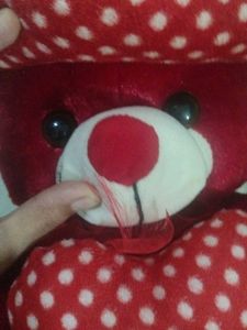 Red Teddy Bear With Heart