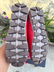 Brand New Casual Shoes