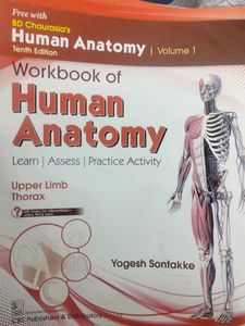 Human Anatomy Workbook Vol 3&amp;4