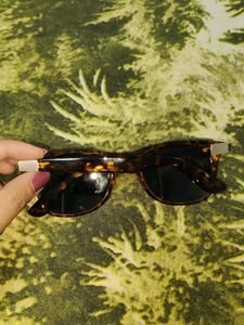 Trendy Sunglasses