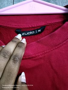 Zudio Sweater