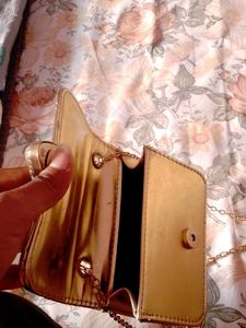 Gold Chain Clutch