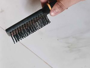 Makeup Brush And Comb